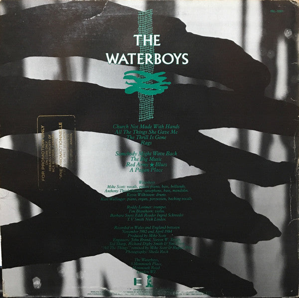 Waterboys, The - A Pagan Place - 1984