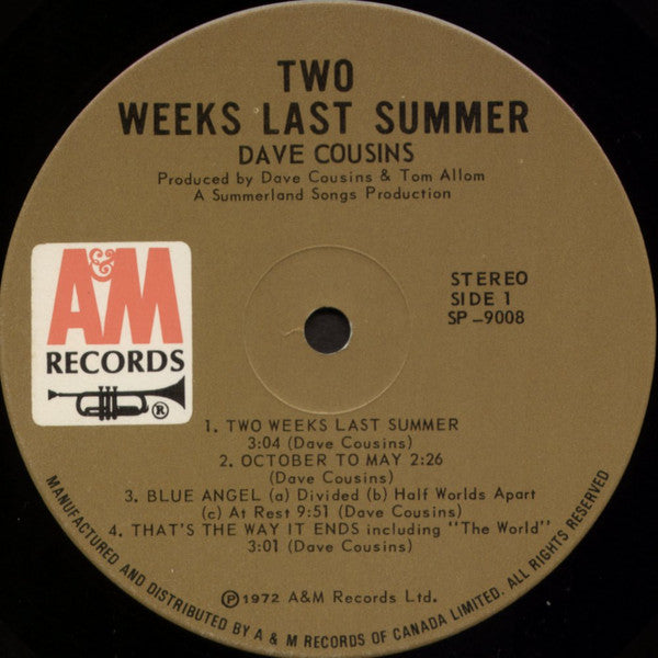 Dave Cousins - Two Weeks Last Summer