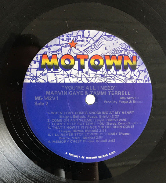 Marvin Gaye / Tammi Terrell - You're All I Need - 1981