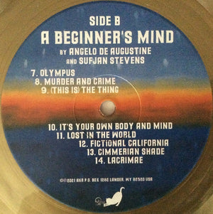 Sufjan Stevens - A Beginner's Mind