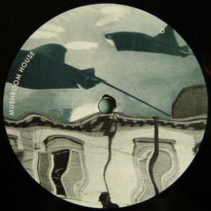 Kapote - Mushroom House Vol 2 - 2021