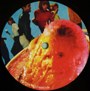 Kapote - Mushroom House Vol 2 - 2021