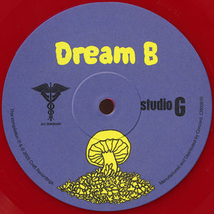 Various - Dream A Dream With Studio G: Cratedigger's Archive (1970-2009) - 2025