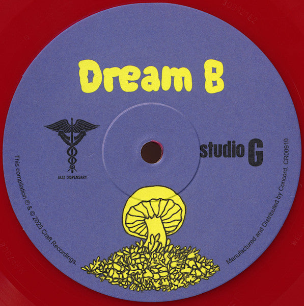 Various - Dream A Dream With Studio G: Cratedigger's Archive (1970-2009) - 2025