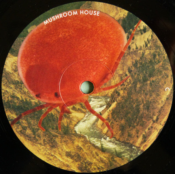 Kapote - Mushroom House Vol 2 - 2021