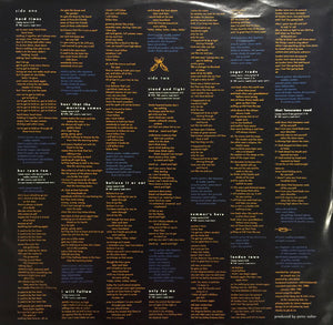 James Taylor  - Dad Loves His Work Vinyl Record