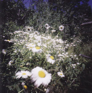 Kinder Atom - Soft Hand Feel (CD) - 2006