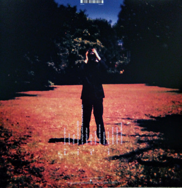 Steven Wilson - Insurgentes - 2009