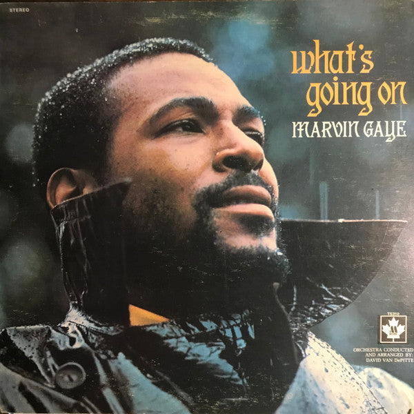 Marvin Gaye - What's Going On