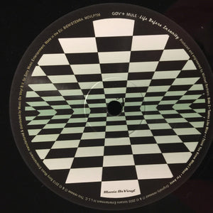 Gov't Mule - Life Before Insanity - 2013