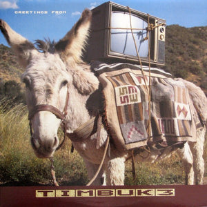 Timbuk 3 - Greetings From Timbuk 3 - 1986