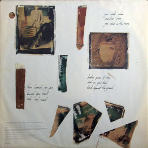 Icehouse - Primitive Man - 1982