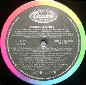 David Wilcox - The Best Of David Wilcox - 1985