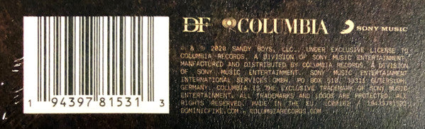 Dominic Fike - What Could Possibly Go Wrong - 2020