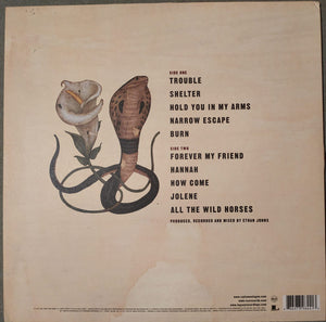 Ray Lamontagne - Trouble