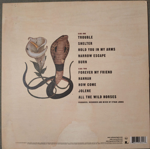 Ray Lamontagne - Trouble