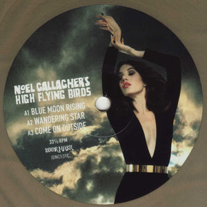 Noel Gallagher's High Flying Birds - Blue Moon Rising Vinyl Record