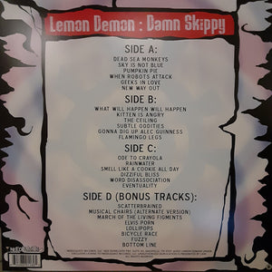 Lemon Demon - Damn Skippy Vinyl Record