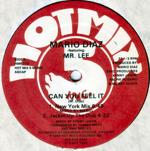 Mario Diaz Featuring Mr. Lee - Can You Feel It - 1988