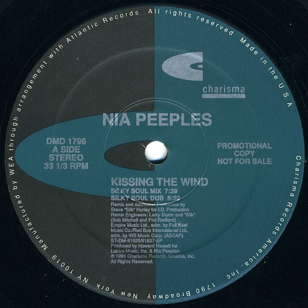 Nia Peeples - Kissing The Wind
