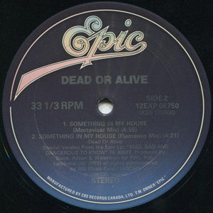 Dead Or Alive - Something In My House 1986 - Quarantunes