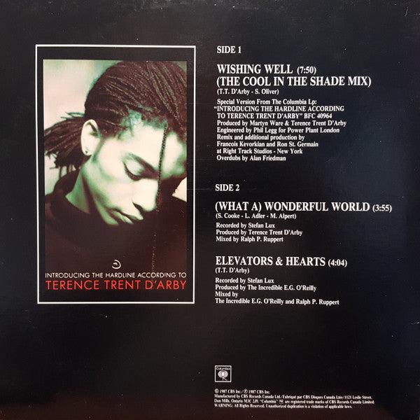 Terence Trent D'Arby - Wishing Well - Quarantunes