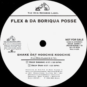 Flex & Da Boriqua Posse - Shake Dat Hoochie Koochie