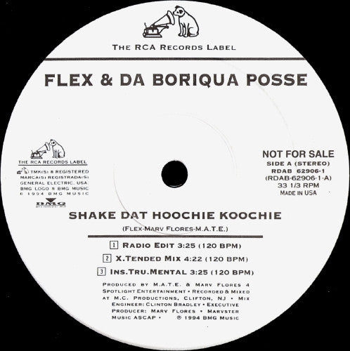 Flex & Da Boriqua Posse - Shake Dat Hoochie Koochie