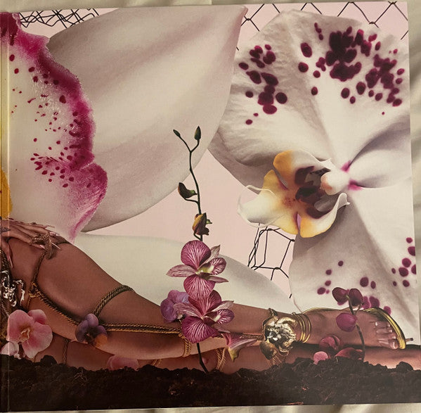 LP Kali Uchis Orquideas 006024584698882 Geffen Records 未開封 /00260 KALI UCHIS ORQUIDEAS SIGNED MILKY CLEAR VINYL LP LIMITED