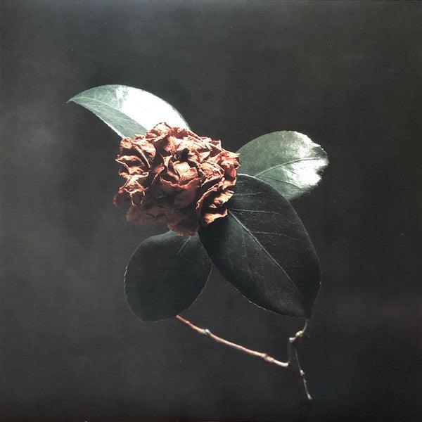 St. Paul & The Broken Bones - Young Sick Camellia 2018 - Quarantunes