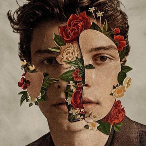 Shawn Mendes - Shawn Mendes 2018 - Quarantunes