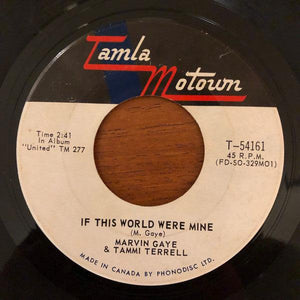 Marvin Gaye & Tammi Terrell - If I Could Build My Whole World Around You 1967 - Quarantunes