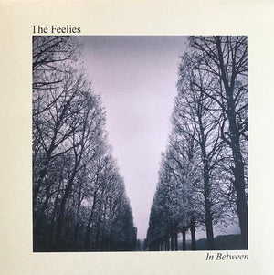 The Feelies - In Between - 2017 - Quarantunes