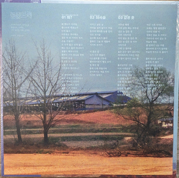 Mid-Air Thief - Crumbling - 2023 – Press Vinyl Cafe