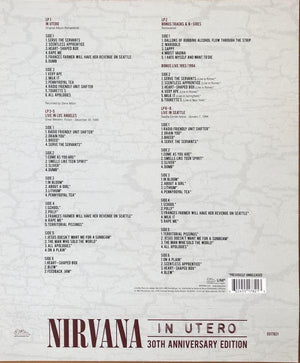 Nirvana - In Utero - 2023 - Quarantunes