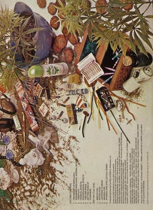 Ron Jacobs - A Child's Garden Of Grass (A Pre-Legalization Comedy) 1972 - Quarantunes