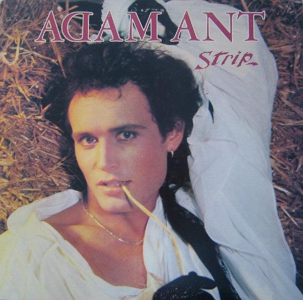 Adam Ant - Strip 1983 - Quarantunes