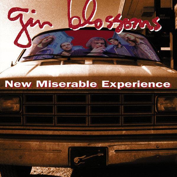 Gin Blossoms - New Miserable Experience 2017 - Quarantunes
