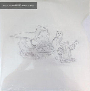 Big Thief - Dragon New Warm Mountain I Believe In You (2 x LP) 2022 - Quarantunes