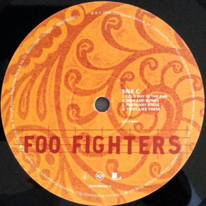 Foo Fighters - Skin And Bones 2015 - Quarantunes