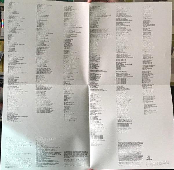 Badly Drawn Boy - Banana Skin Shoes - Quarantunes