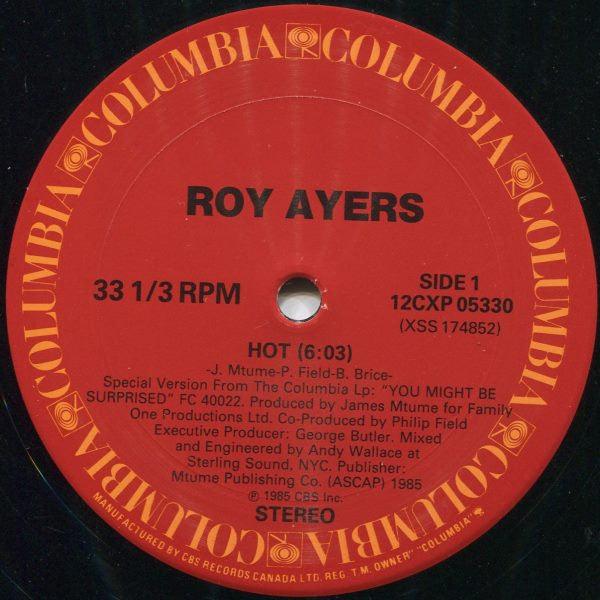 Roy Ayers - Hot - Quarantunes