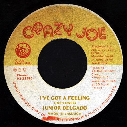 Junior Delgado - I've Got A Feeling 1978 - Quarantunes
