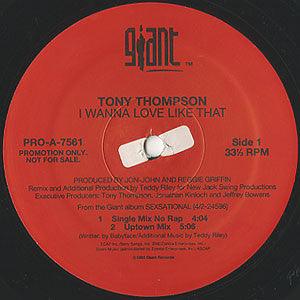 Tony Thompson - I Wanna Love Like That - 1995 - Quarantunes