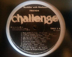 Friends - Meddlin' With Shalamar / Don't Touch The Sun - 1983 - Quarantunes