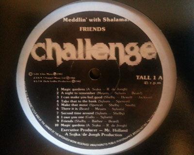 Friends - Meddlin' With Shalamar / Don't Touch The Sun - 1983 - Quarantunes