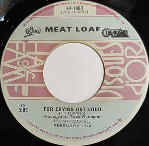 Meat Loaf - Two Out Of Three Ain't Bad