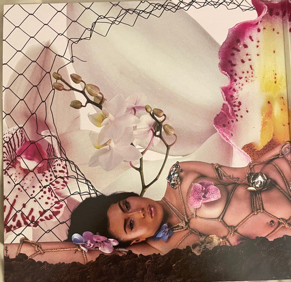 LP Kali Uchis Orquideas 006024584698882 Geffen Records 未開封 /00260 Kali Uchis - Orquídeas - 2024 – Press Vinyl Cafe