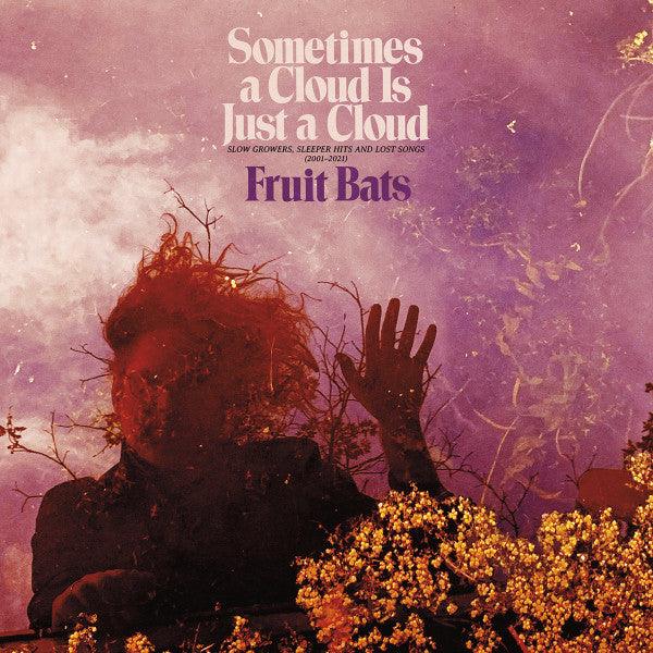 Fruit Bats - Sometimes a Cloud Is Just a Cloud: Slow Growers, Sleeper Hits, and Lost Songs (2001-2021) (Pink & Violet Swirl Vinyl) 2022 - Quarantunes